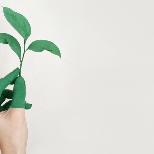 Snoozel Green hand of sustainability holding a seedling