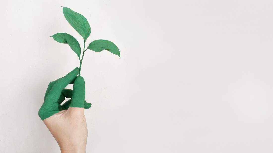 Snoozel Green hand of sustainability holding a seedling