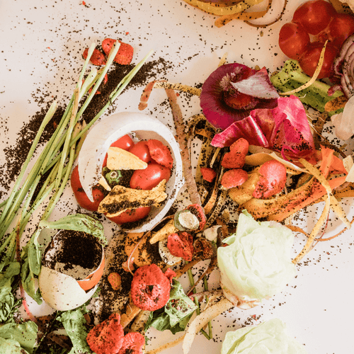 how to reduce food waste