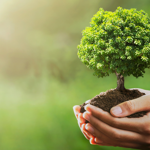 Earth Day 2023 - Making sustainable choices