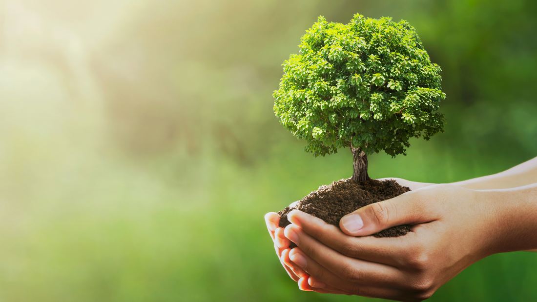 Earth Day 2023 - Making sustainable choices