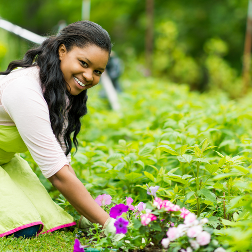 Gardening for Your Well-Being