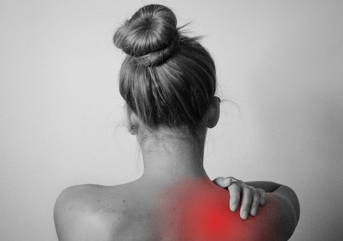 Best organic mattress for back pain
