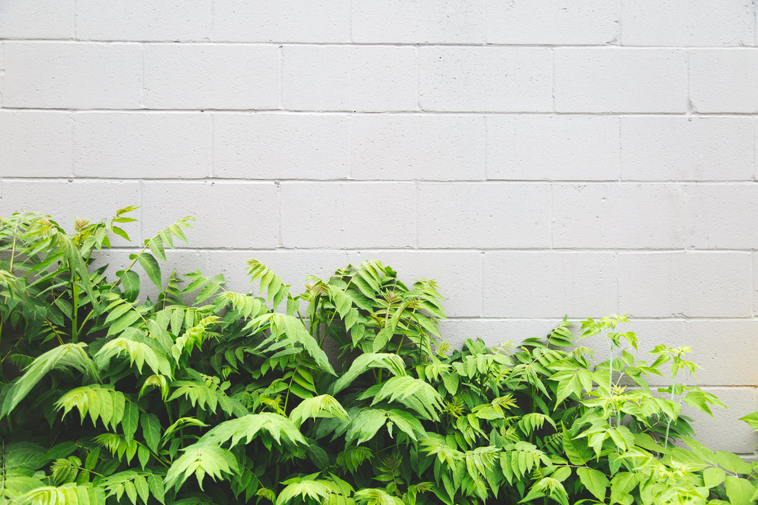 Finding Warmth and Comfort: Winter Sleep Tips for Allergy Sufferers